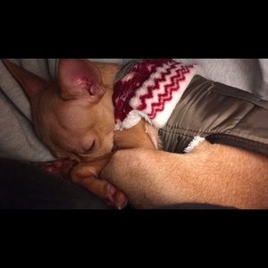 Meet your Posher, Savannah